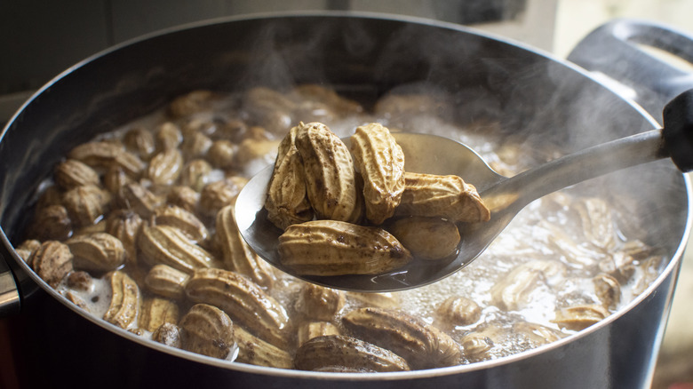 A close-up of peanuts boiling in a stock pot while a ladel spoons some out
