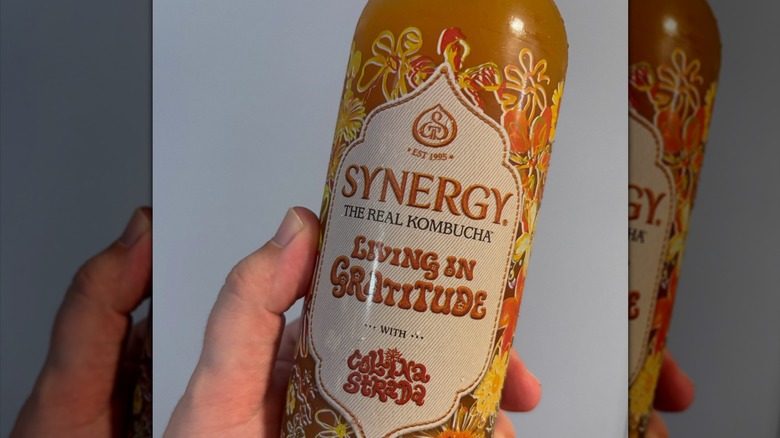 A hand holding a bottle of GT's Synergy Living in Gratitude raw kombucha