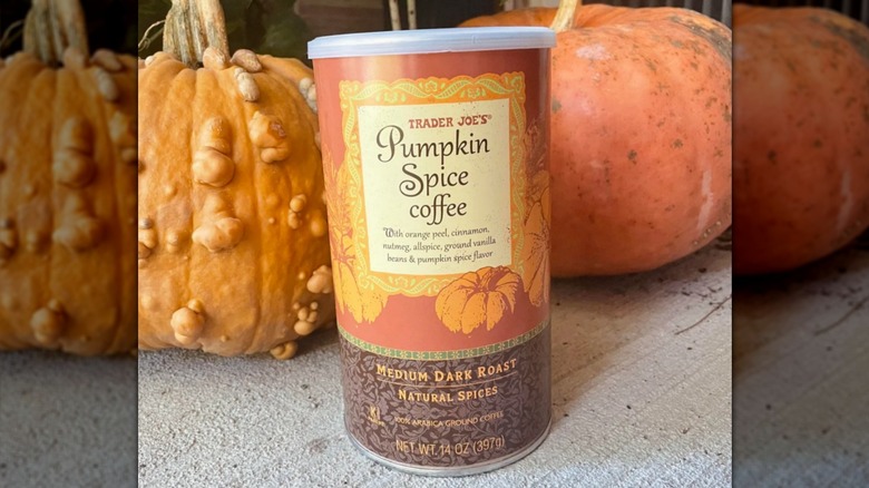 A container of Trader Joe's pumpkin spice coffee sitting on a counter with some decorative gourds