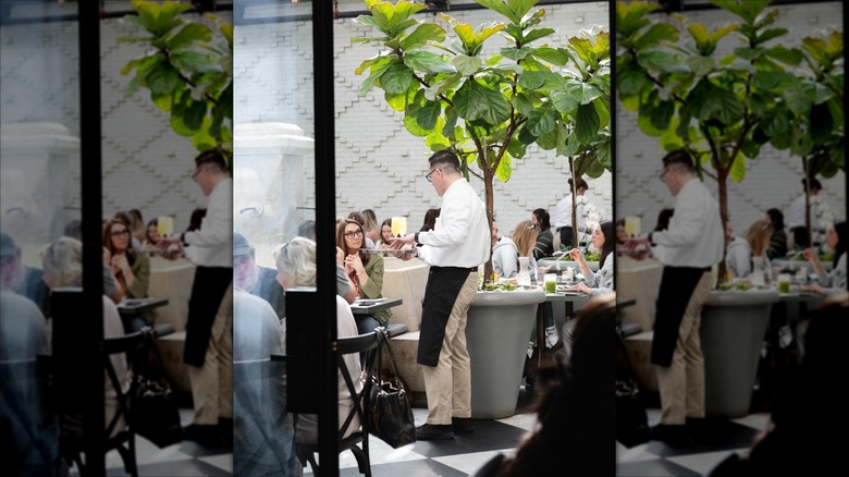 Looking through door to brunch tables with potted tree and white wall