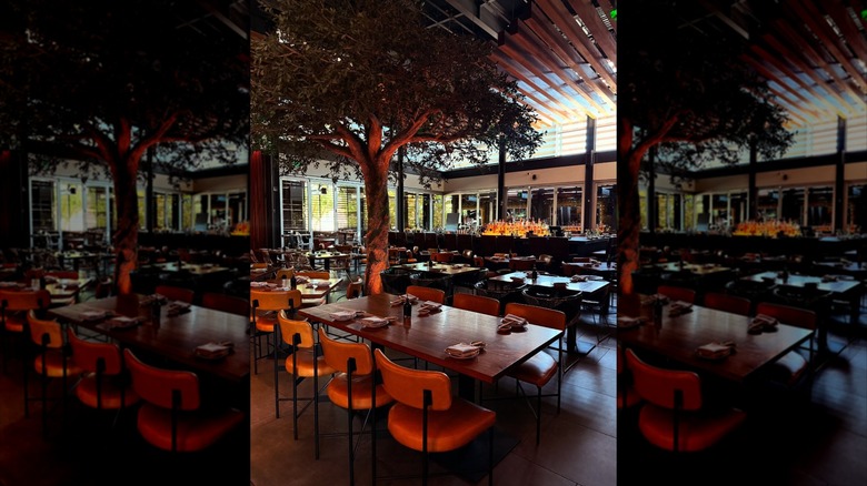 Interior of dim-light dining room with tree and bar setup in back