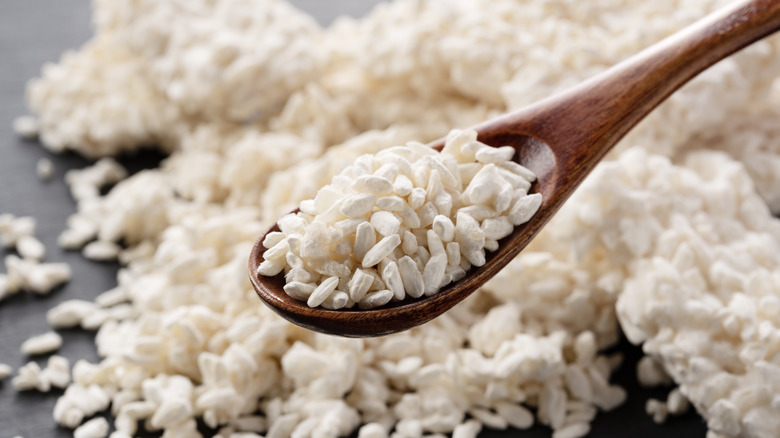 Spoon of rice inoculated with koji fungus
