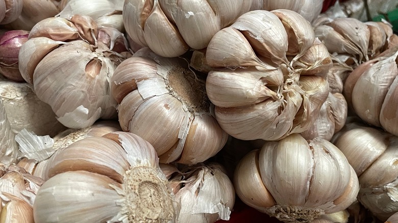 Fresh garlic on market table closeup