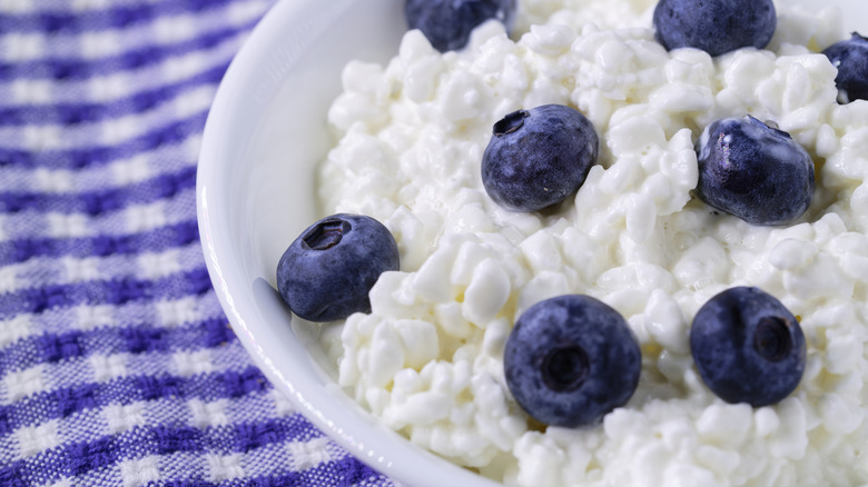 A close-up of a bowl of cottage cheese with blueberries on a checkered kitchen towel