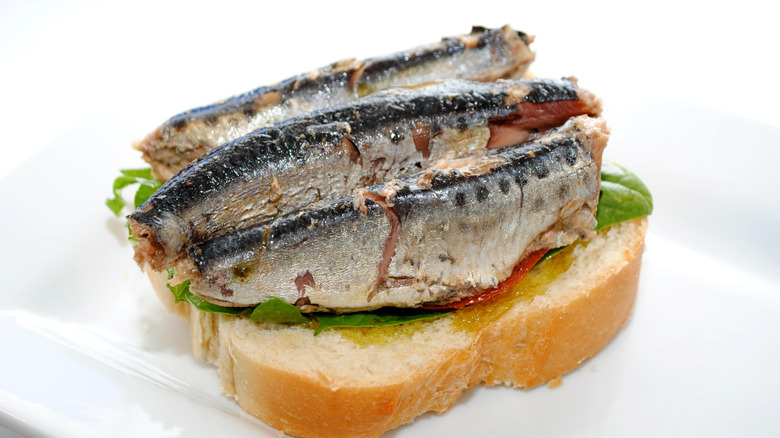 Open-faced sardine sandwich on a piece of white bread with some greens