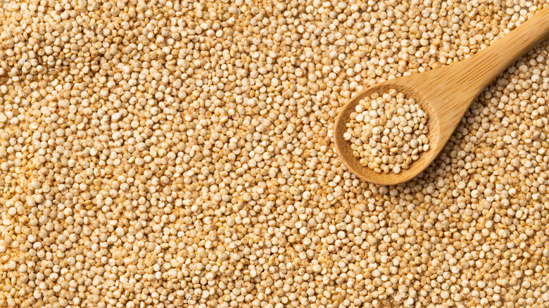 Close-up of quinoa with wooden spoon