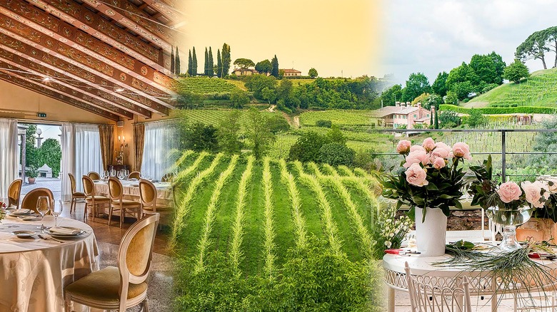 Italian vineyards and restaurant dining areas