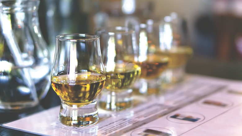 A row of four whiskey glasses set up on a table with what appears to be a sheet of tasting notes beneath them