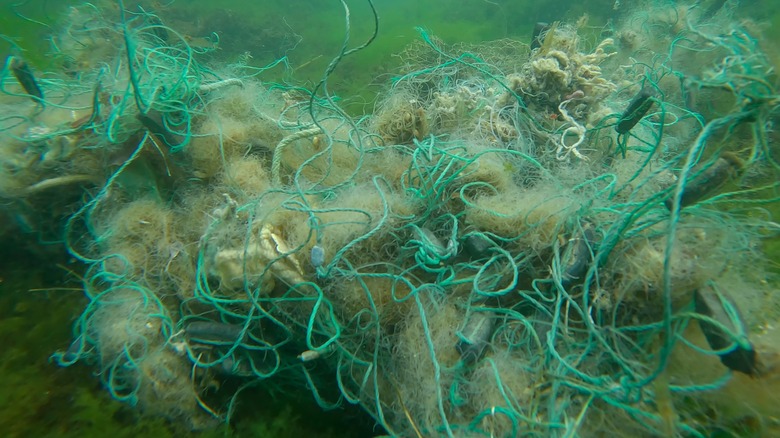 Ghost fishing gear at the bottom of the ocean