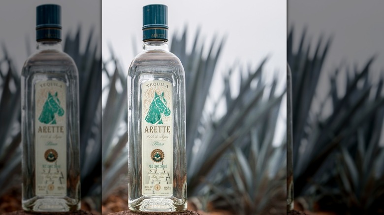 A bottle of The Blanco in an agave field