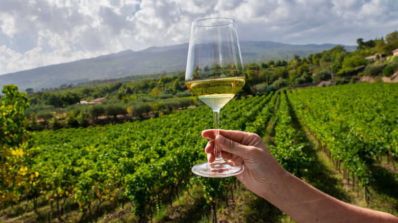 wine glass held against mt etna landscape