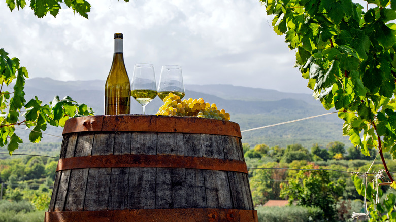 white wine bottle with glass on top of barrel at sicilian vineyard
