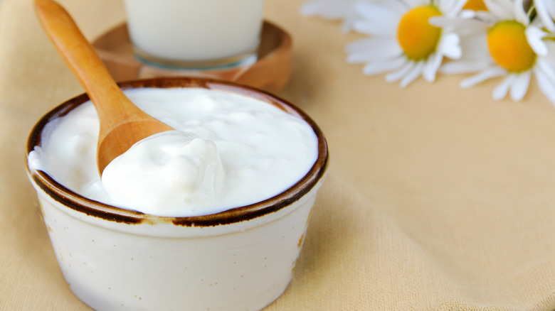 Yogurt in a ceramic bowl with a wooden spoon