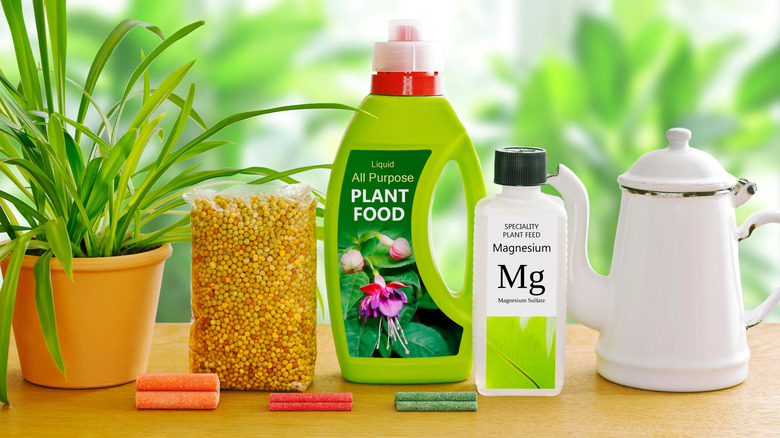 Indoor fertilizers, pot plants and a watering can on a wooden table.