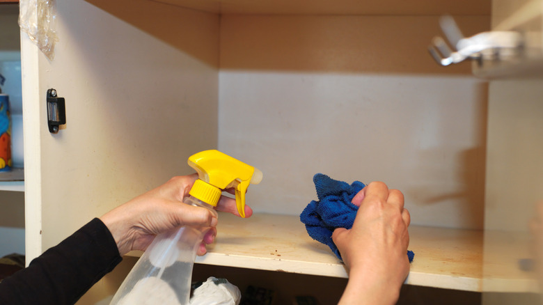 Female hand cleaning empty kitchen cabinet shelf