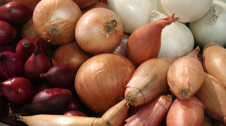 What Is a Shallot?, Cooking School