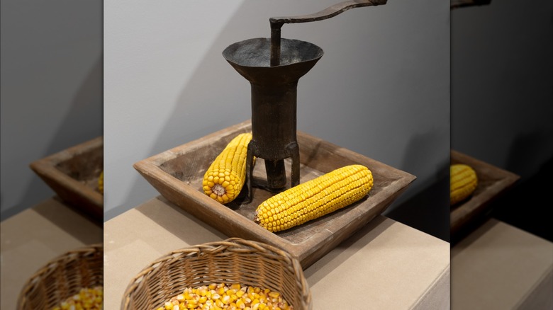 hand crank grinder next to corn cobs and a wicker basket filled with corn kernels