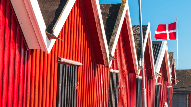 Danish flag atop red houses in Denmark