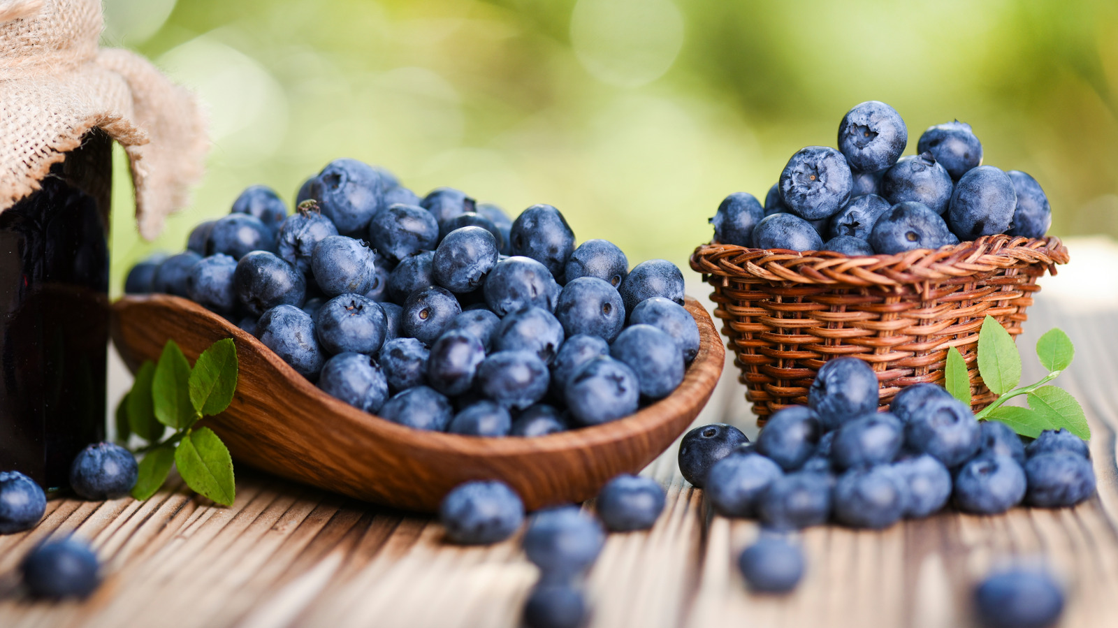 Only the best, sweetest and hardest jumbo blueberries