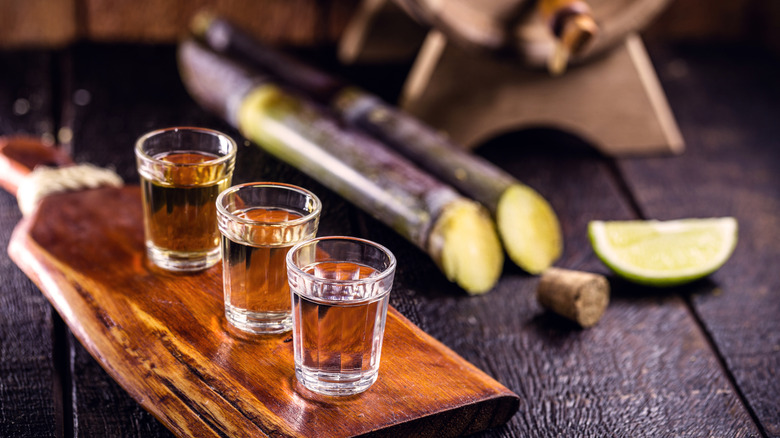 Three shot glasses of Cachaça with cut sugar cane and limes