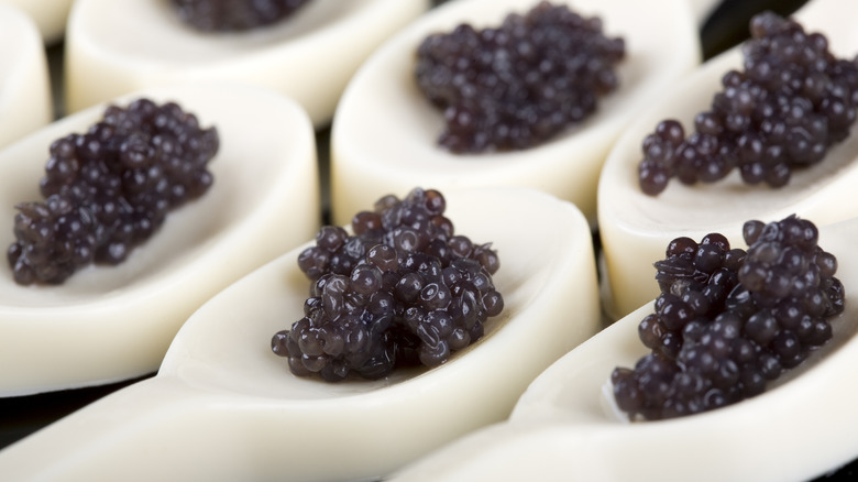 White chocolate spoon with black caviar.