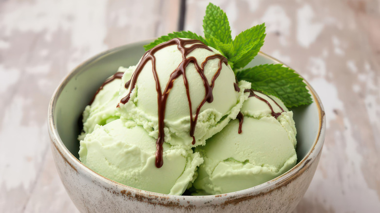 Bowl of mint ice cream with chocolate syrup