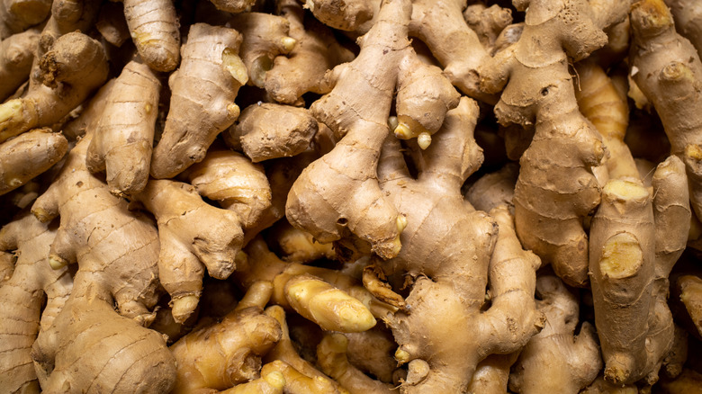 pile of fresh ginger