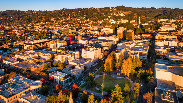 Berkeley neighborhood from above