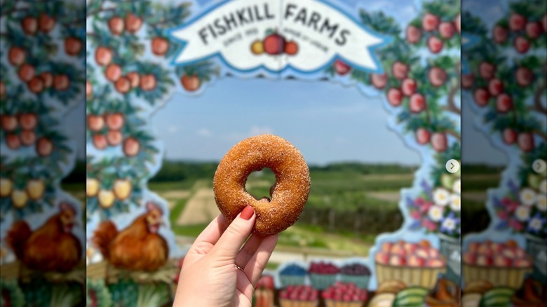 A person holding a cider donut in front of a Fishkill Farms sign