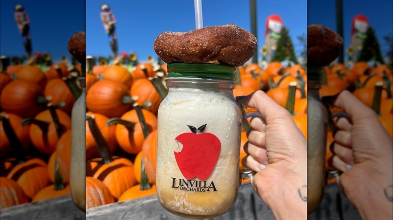 A person holding up a mason jar of apple cider and a donut at Linvilla Orchards