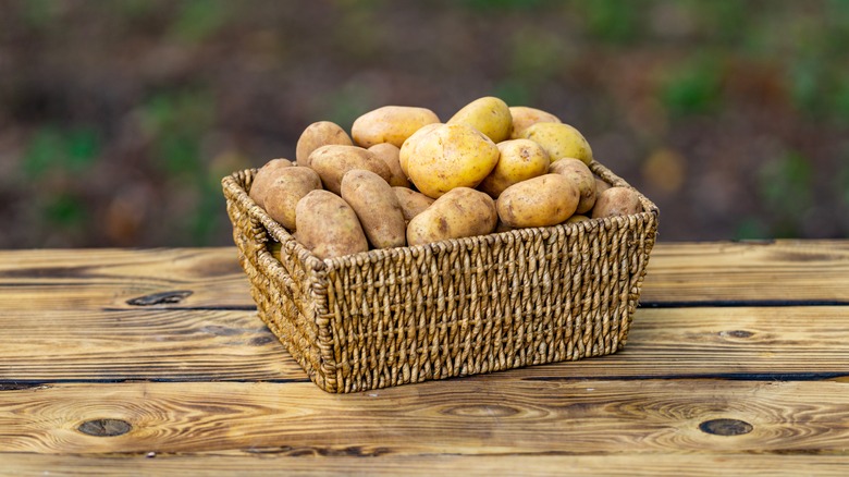 Selection of raw potatoes in a wooden basket