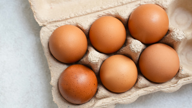 Six brown eggs in a carton