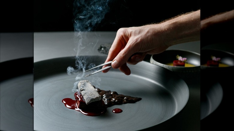 Hand holding tweezers over plate with smoking squab