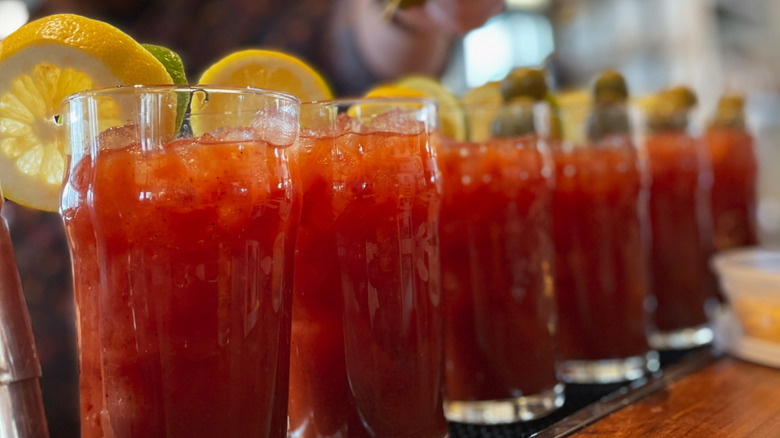 A row of Bloody Mary's at the bar