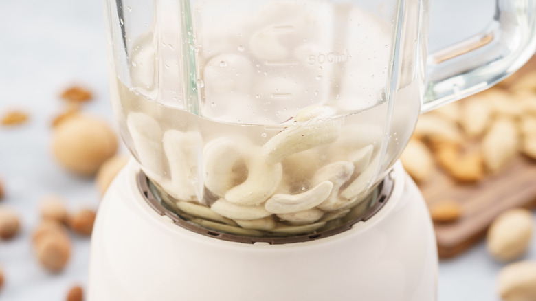 Blender with cashews soaking in water