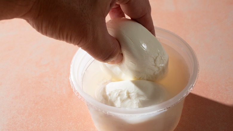 Hand lifting burrata from plastic container
