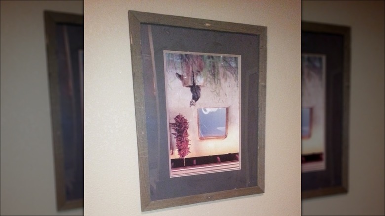 Upside down cat-themed picture in the Chili's bathroom