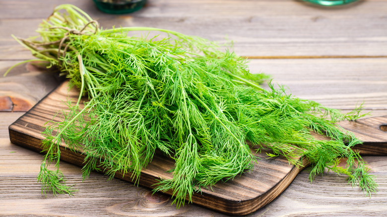 Feathery bunch of dill on a cutting board