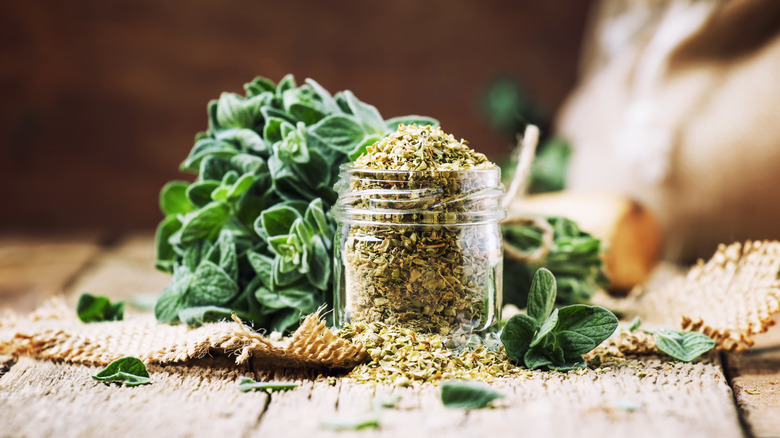 Pile of fresh oregano behind a jar of dried oregano, on burlap