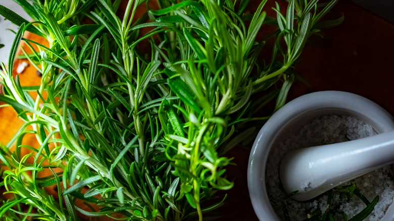 Rosemary and a mortar and pestle with rock salt