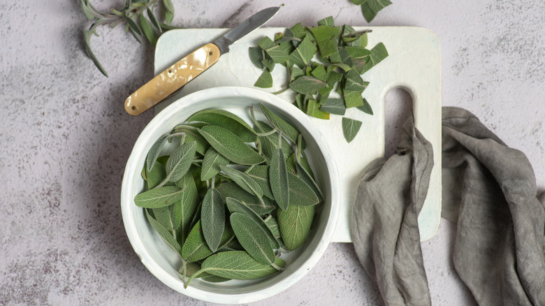 Bowl of sage leaves on a cutting board with a pocketknife