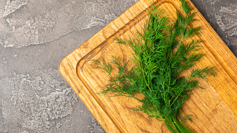 Dill herb on wooden background
