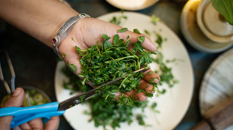 Cutting Fenugreek or methi in a ceramic plate