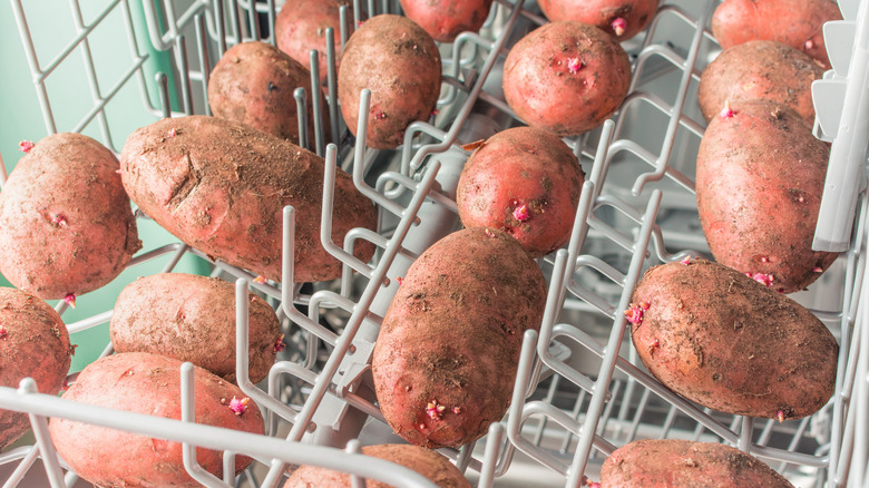 Potatoes in dishwasher