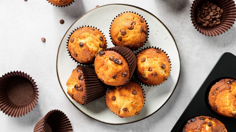 Chocolate chip muffins on plate