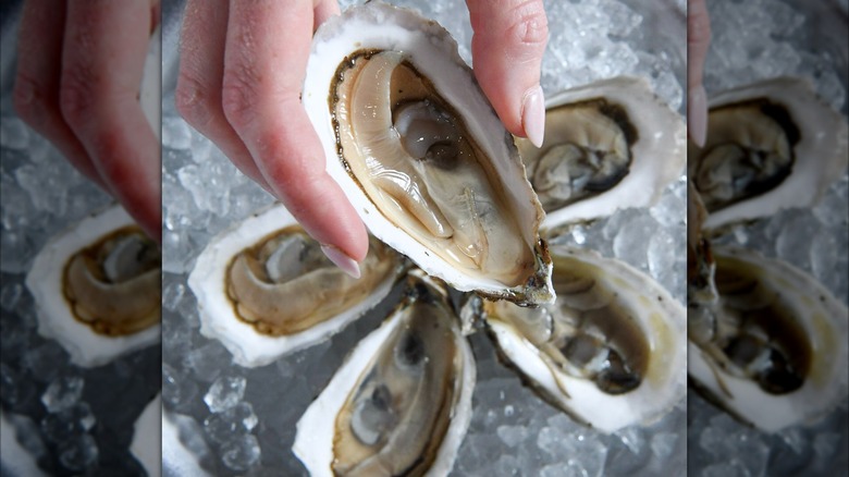 Hand holding an oyster