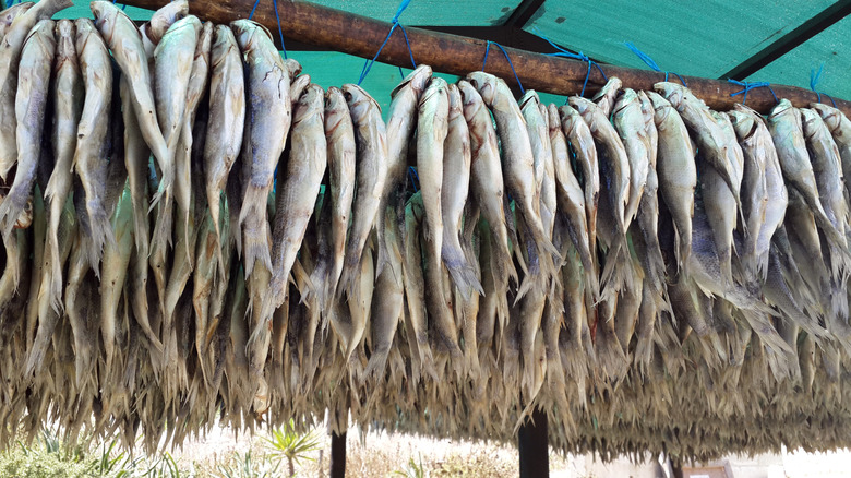 Hanging fsh drying under awning to make bokkoms