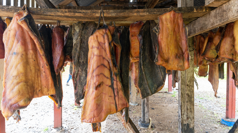Hákarl hanging from beams