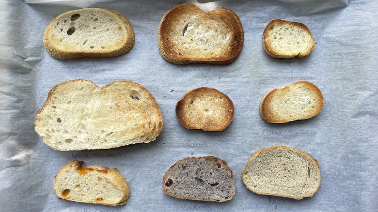 Different toasted slices of bread
