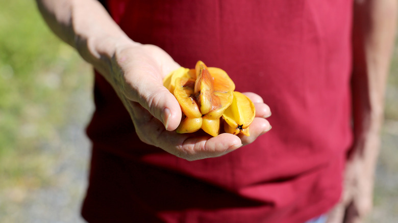 Person holding starfruit in hand